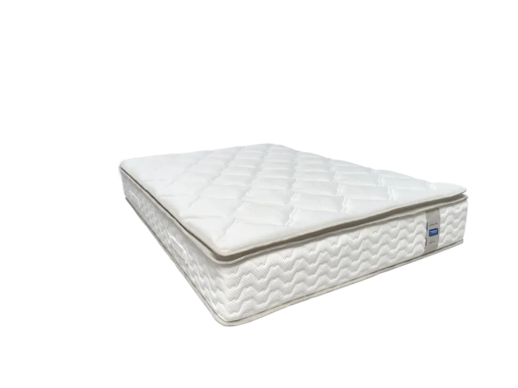 Matelas Bristol anti-punaise (80x190)