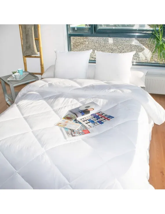 Couette 450 gr/m² ALASKA (140x200 (carton de 5))