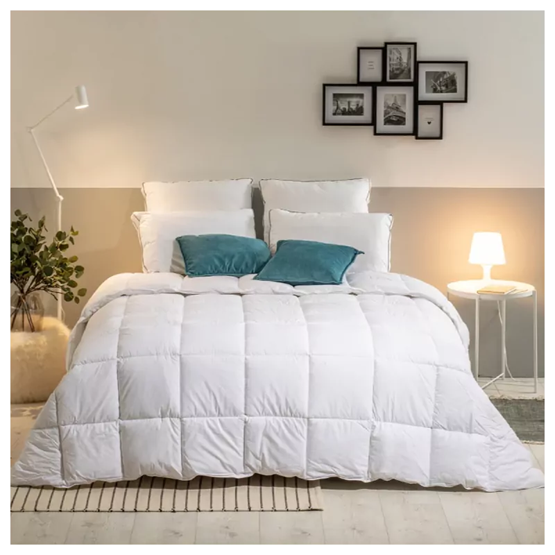 Couette 500gr/m² GRAND PALACE (lot de 6) (240x260 (carton de 3))
